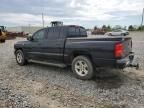 2009 Dodge Dakota SXT