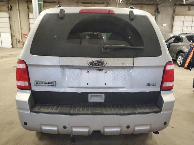 2010 Ford Escape Limited