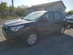 Salvage cars for sale at York Haven, PA auction: 2019 Subaru Forester