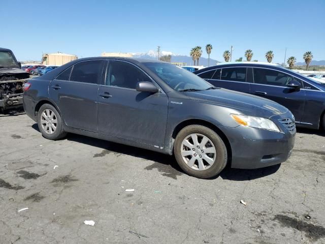 2007 Toyota Camry Hybrid