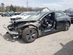 Salvage cars for sale at York Haven, PA auction: 2018 Tesla Model 3