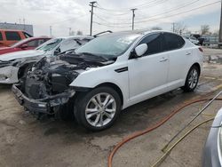 Salvage cars for sale at Chicago Heights, IL auction: 2013 KIA Optima EX