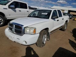 Salvage cars for sale from Copart Brighton, CO: 2005 Dodge Dakota Quad SLT