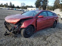 Salvage cars for sale at Graham, WA auction: 2011 Hyundai Sonata GLS