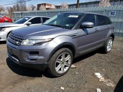 Salvage cars for sale at New Britain, CT auction: 2013 Land Rover Range Rover Evoque Pure