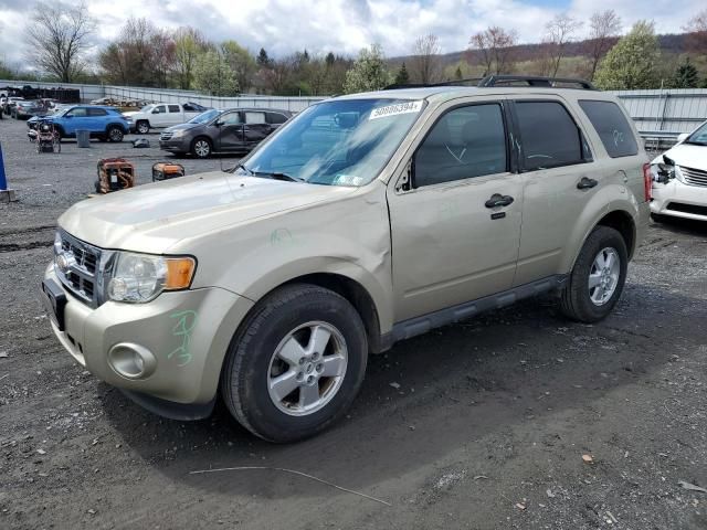 2012 Ford Escape XLT