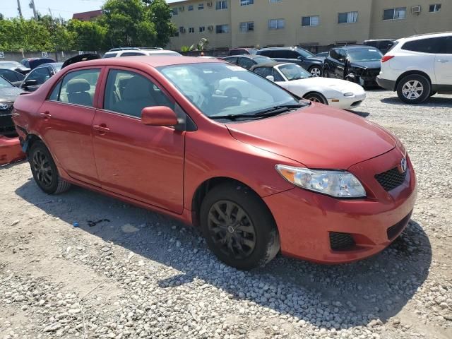 2010 Toyota Corolla Base