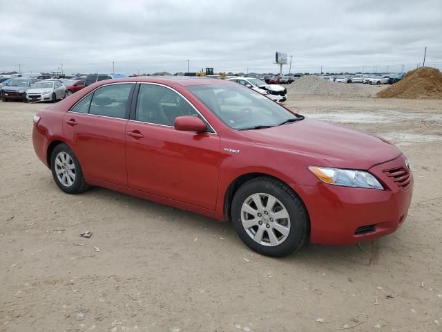 2007 Toyota Camry Hybrid