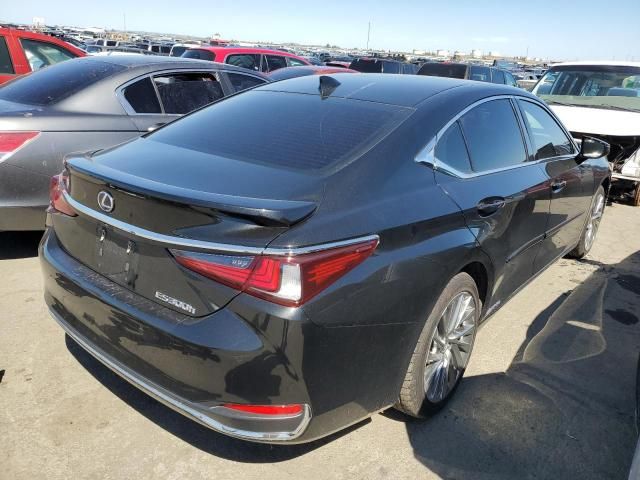 2019 Lexus ES 300H