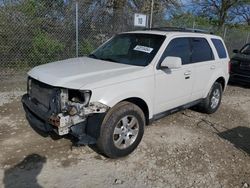 Salvage cars for sale at Cicero, IN auction: 2010 Ford Escape Limited