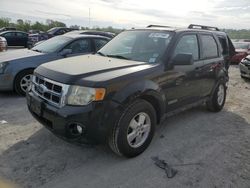 Salvage cars for sale at Cahokia Heights, IL auction: 2008 Ford Escape XLT