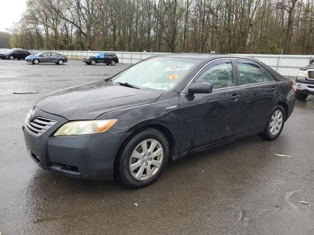 2009 Toyota Camry Hybrid