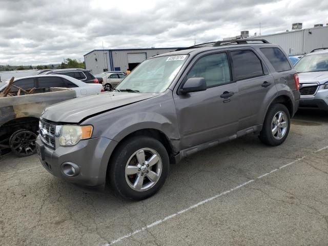 2009 Ford Escape XLT