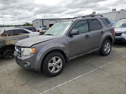 Salvage cars for sale at Vallejo, CA auction: 2009 Ford Escape XLT