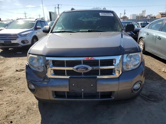 2009 Ford Escape XLT