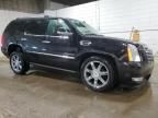 2013 Cadillac Escalade Luxury