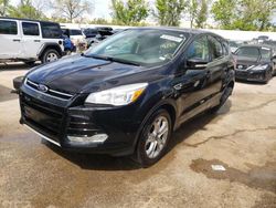 Vehiculos salvage en venta de Copart Bridgeton, MO: 2013 Ford Escape SEL