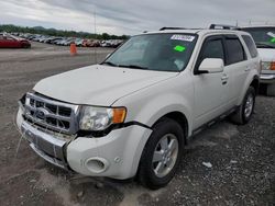 Salvage cars for sale at Madisonville, TN auction: 2010 Ford Escape Limited