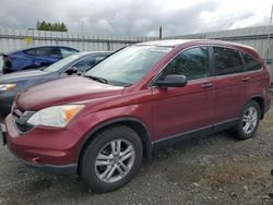 Honda salvage cars for sale: 2011 Honda CR-V EX