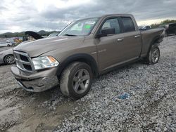 Dodge salvage cars for sale: 2010 Dodge RAM 1500