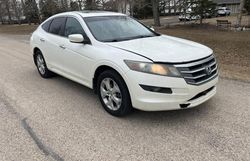 Honda Accord Vehiculos salvage en venta: 2010 Honda Accord Crosstour EXL