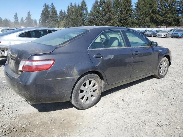 2009 Toyota Camry Hybrid