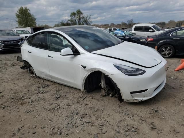 2020 Tesla Model Y