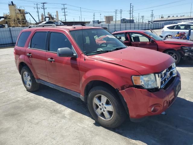 2010 Ford Escape XLT