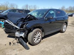 Salvage cars for sale at Marlboro, NY auction: 2024 Honda CR-V EXL