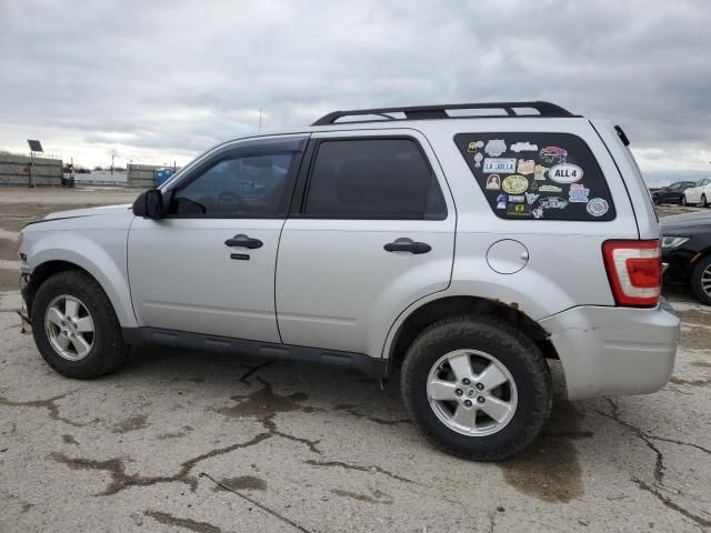 2011 Ford Escape XLT