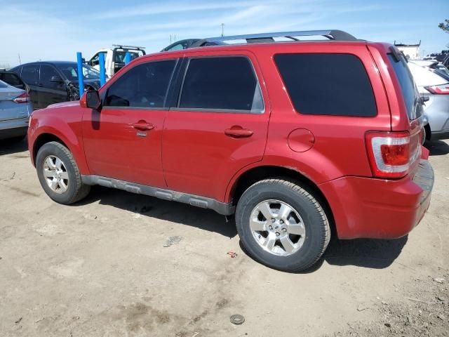 2011 Ford Escape Limited