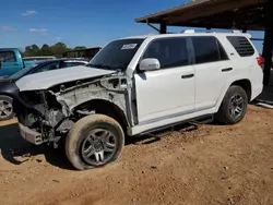 Toyota salvage cars for sale: 2010 Toyota 4runner SR5