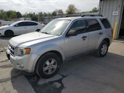 Ford Escape XLT salvage cars for sale: 2011 Ford Escape XLT