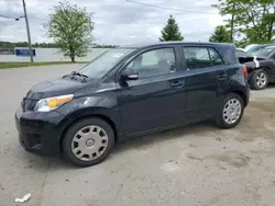 Scion salvage cars for sale: 2010 Scion XD