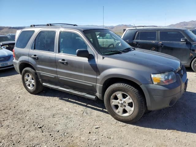 2005 Ford Escape XLT