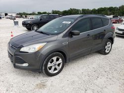 Salvage cars for sale at New Braunfels, TX auction: 2016 Ford Escape SE