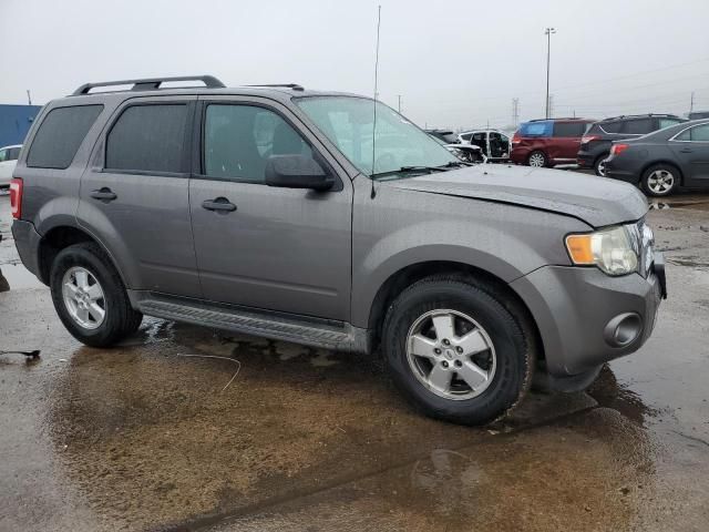 2009 Ford Escape XLT