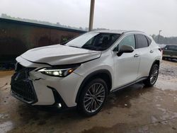 Salvage cars for sale from Copart Hueytown, AL: 2022 Lexus NX 350