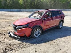 Salvage cars for sale from Copart Gainesville, GA: 2024 Honda CR-V EXL