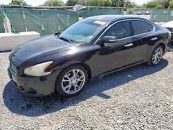Salvage cars for sale from Copart Riverview, FL: 2012 Nissan Maxima S