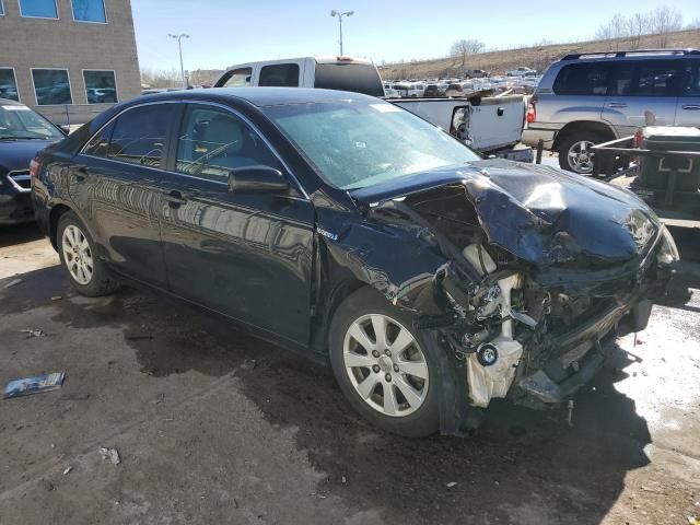 2009 Toyota Camry Hybrid