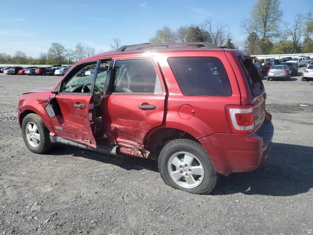 2008 Ford Escape XLT