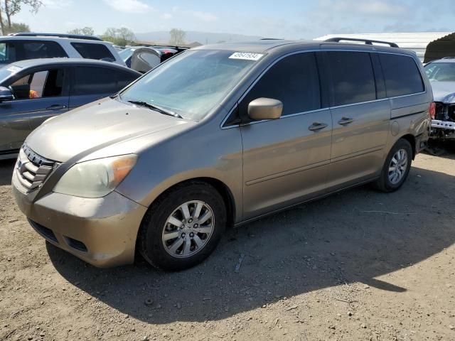 2009 Honda Odyssey EXL