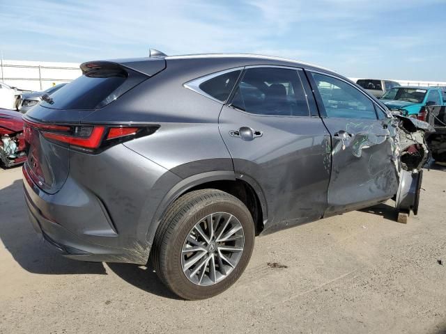 2023 Lexus NX 350