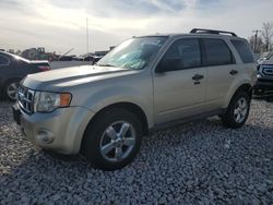 Salvage cars for sale from Copart Wayland, MI: 2010 Ford Escape XLT