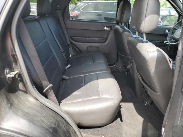 2010 Ford Escape Limited