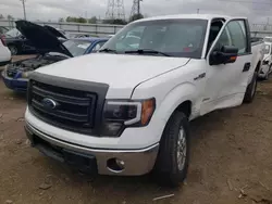 Salvage cars for sale at Elgin, IL auction: 2013 Ford F150 Supercrew