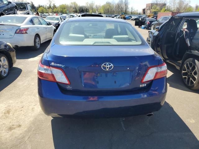 2009 Toyota Camry Hybrid