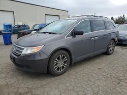 Honda Vehiculos salvage en venta: 2013 Honda Odyssey EXL