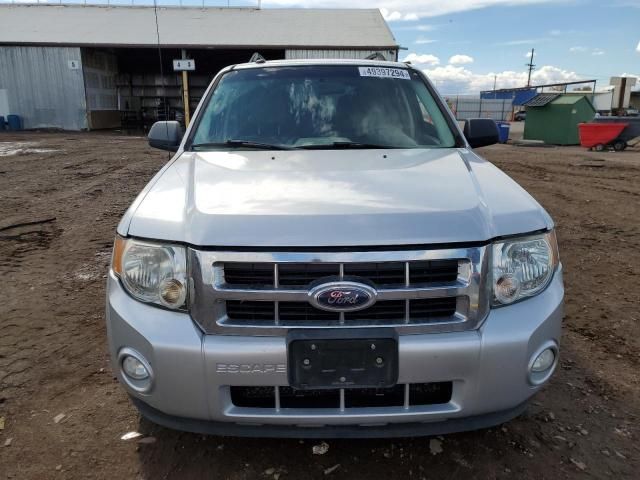 2011 Ford Escape XLT